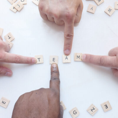 meet the team member
