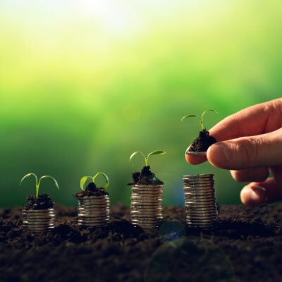 basics of investing