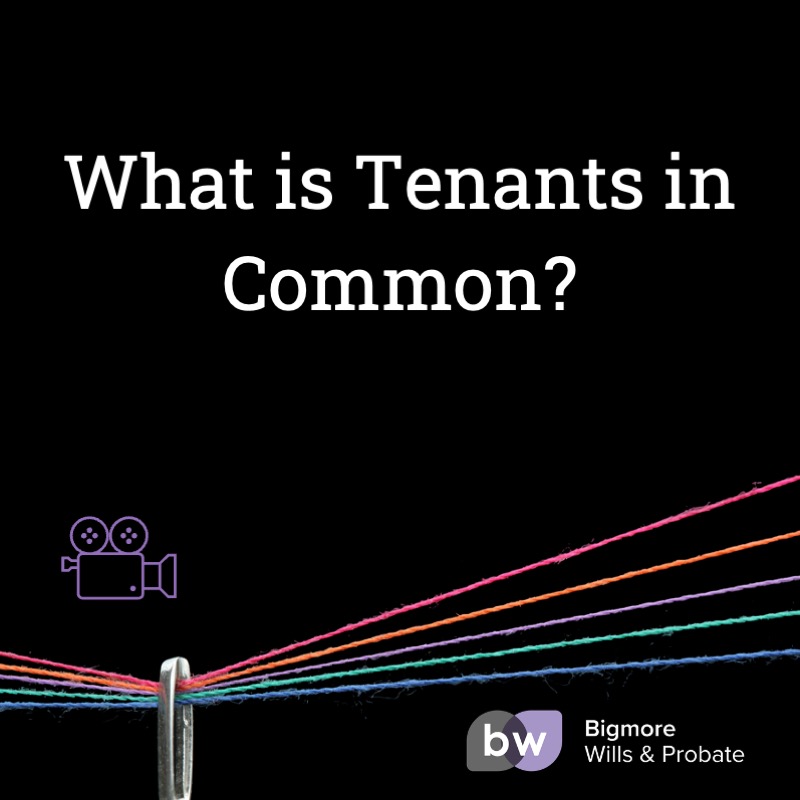 what is tenants in common